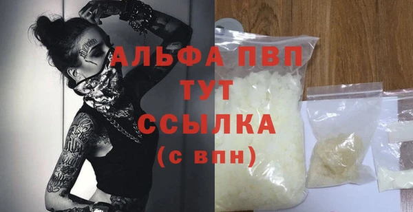 ECSTASY Белокуриха