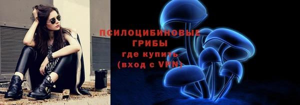 ECSTASY Белокуриха