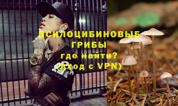 гидра Беломорск