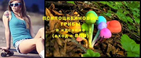 гидра Беломорск