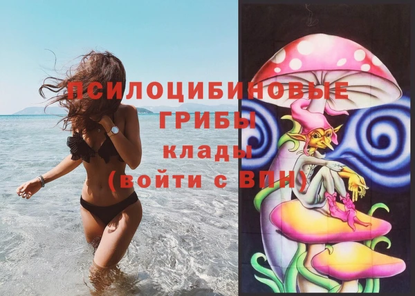 гидра Беломорск