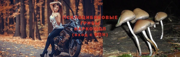 гидра Беломорск
