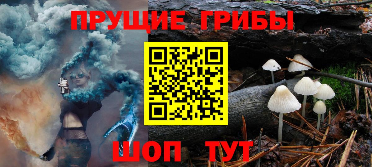 Псилоцибиновые грибы прущие грибы Кунгур