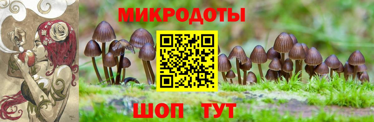 Кунгур  Галлюциногенные грибы Cubensis  Вход с VPN  Галлюциногенные грибы прущие грибы 